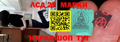 индика Заволжье