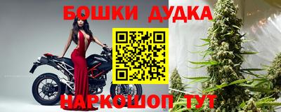 индика Заволжье