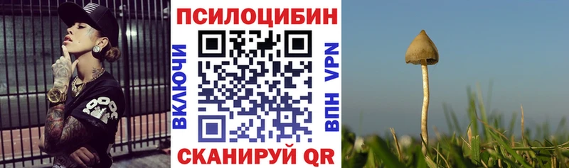 omg   купить наркоту  Ирбит  Галлюциногенные грибы MAGIC MUSHROOMS 